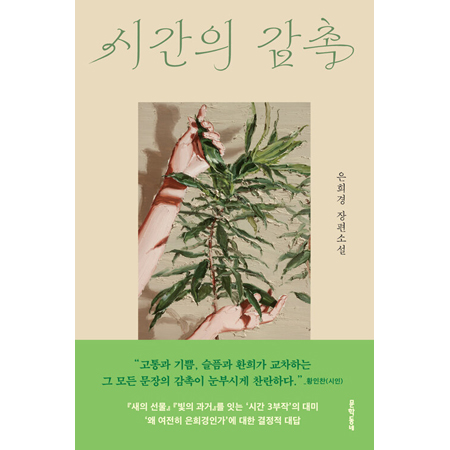 시간의 감촉